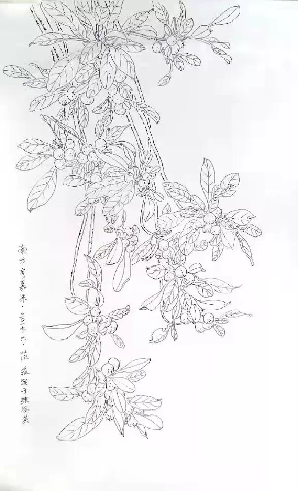 73899A3A-317A-46DD-B6CC-9B4AFDFAE844.png 73899A3A-317A-46DD-B6CC-9B4AFDFAE844.png