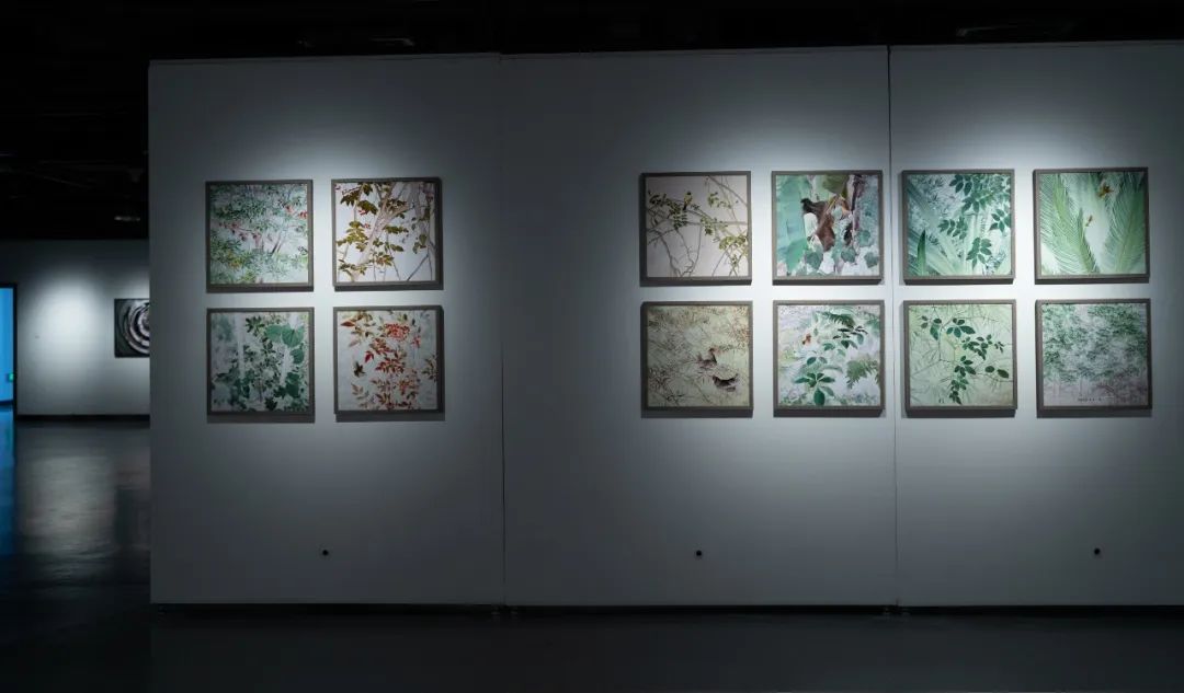 8.jpeg