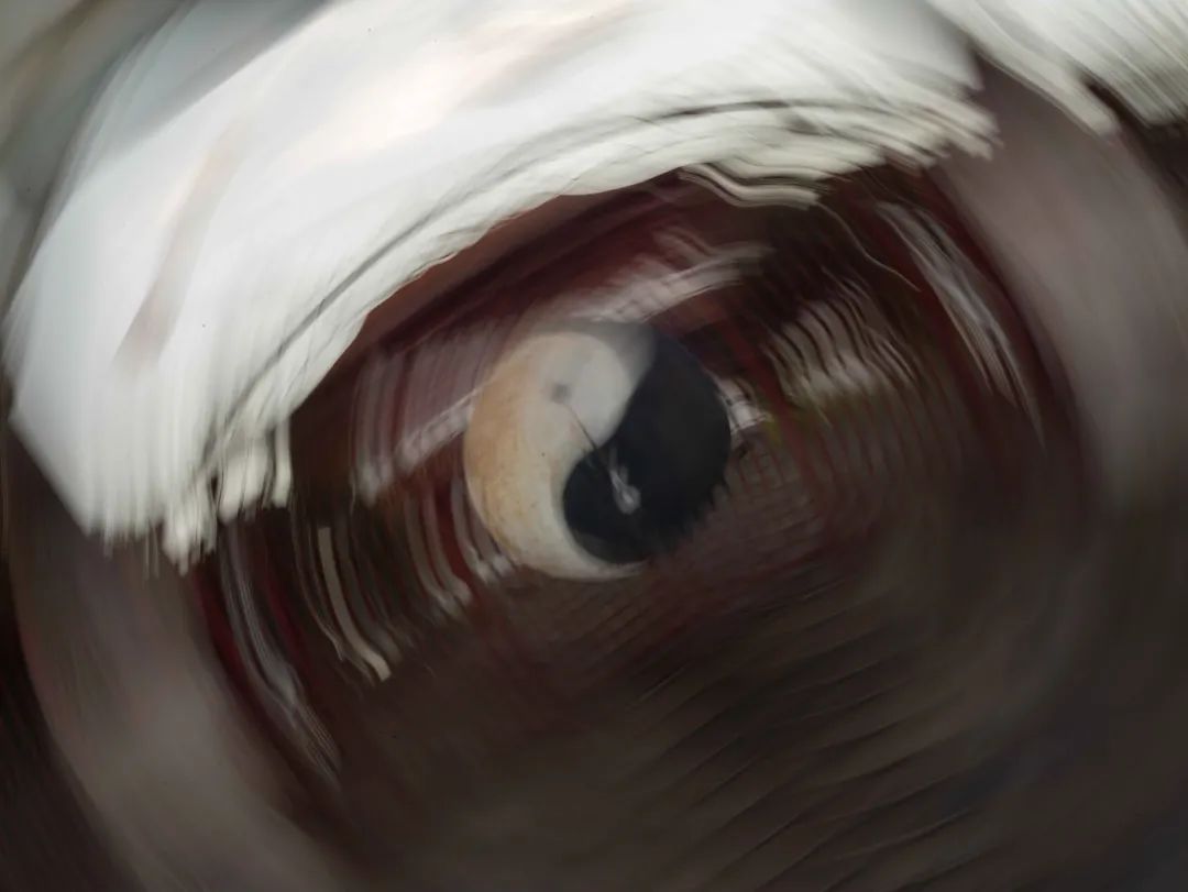 9.jpeg
