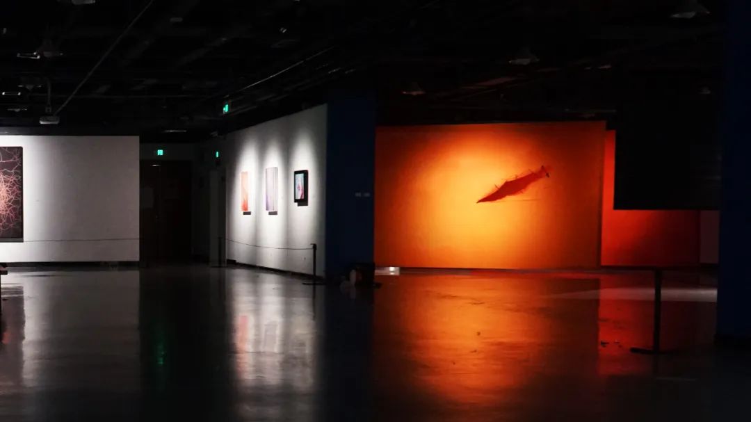 7.jpeg