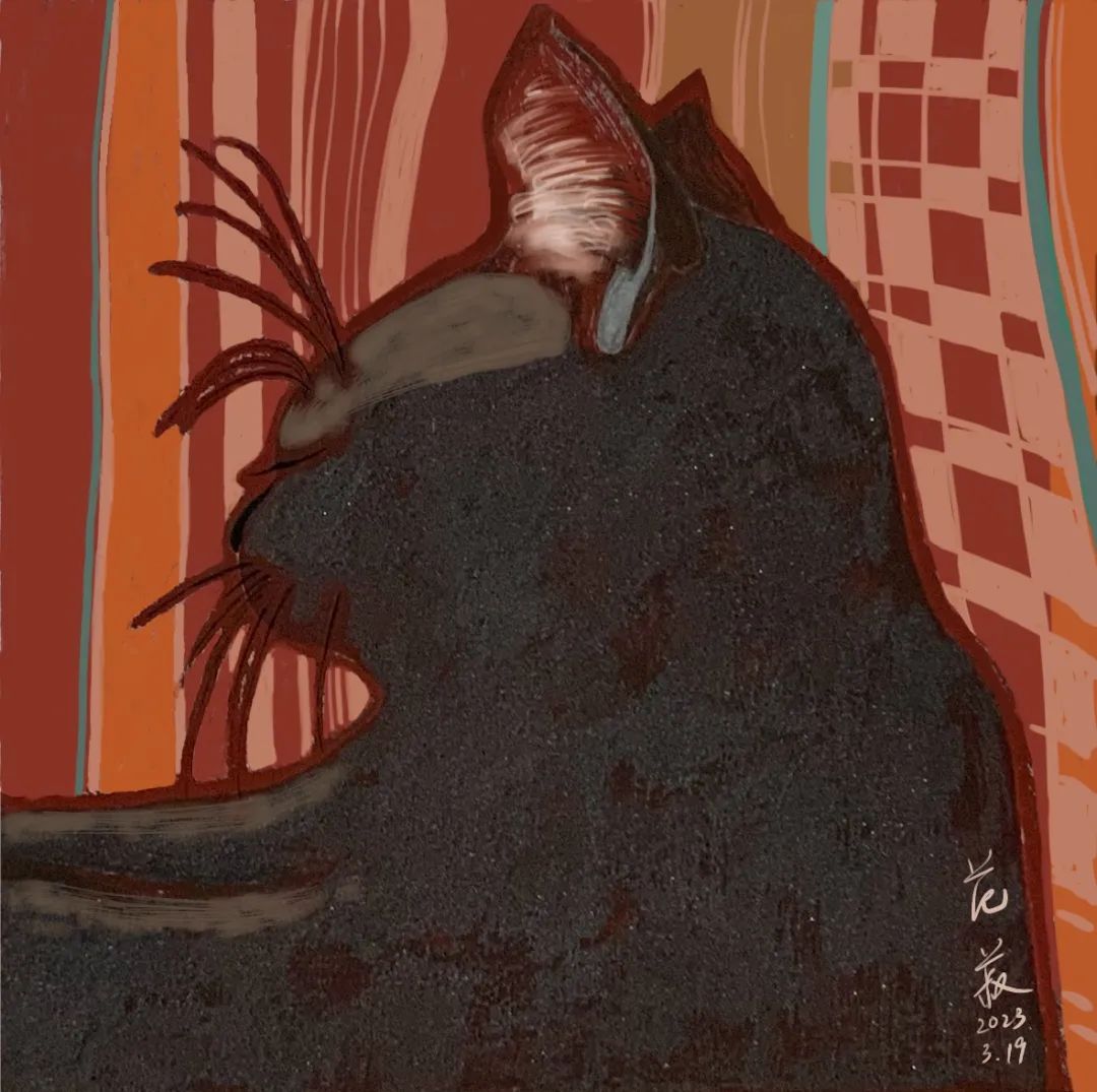 15.jpeg