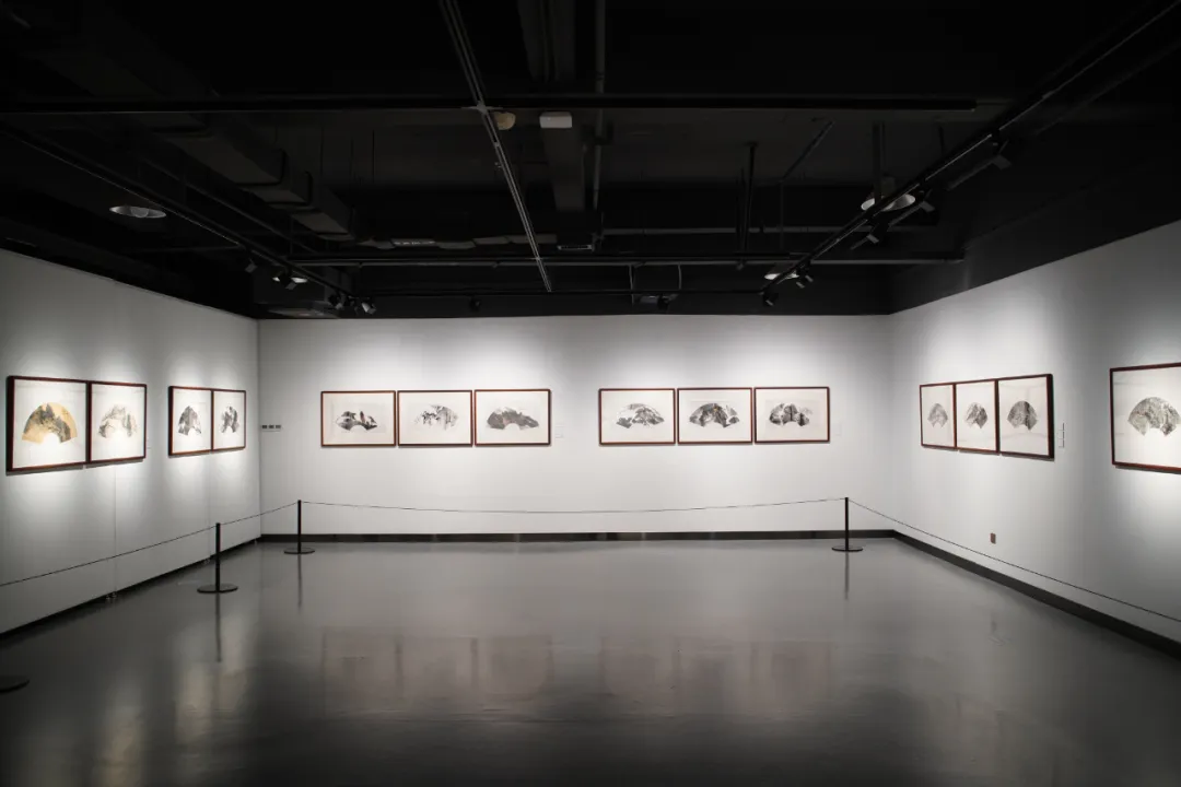 47.png