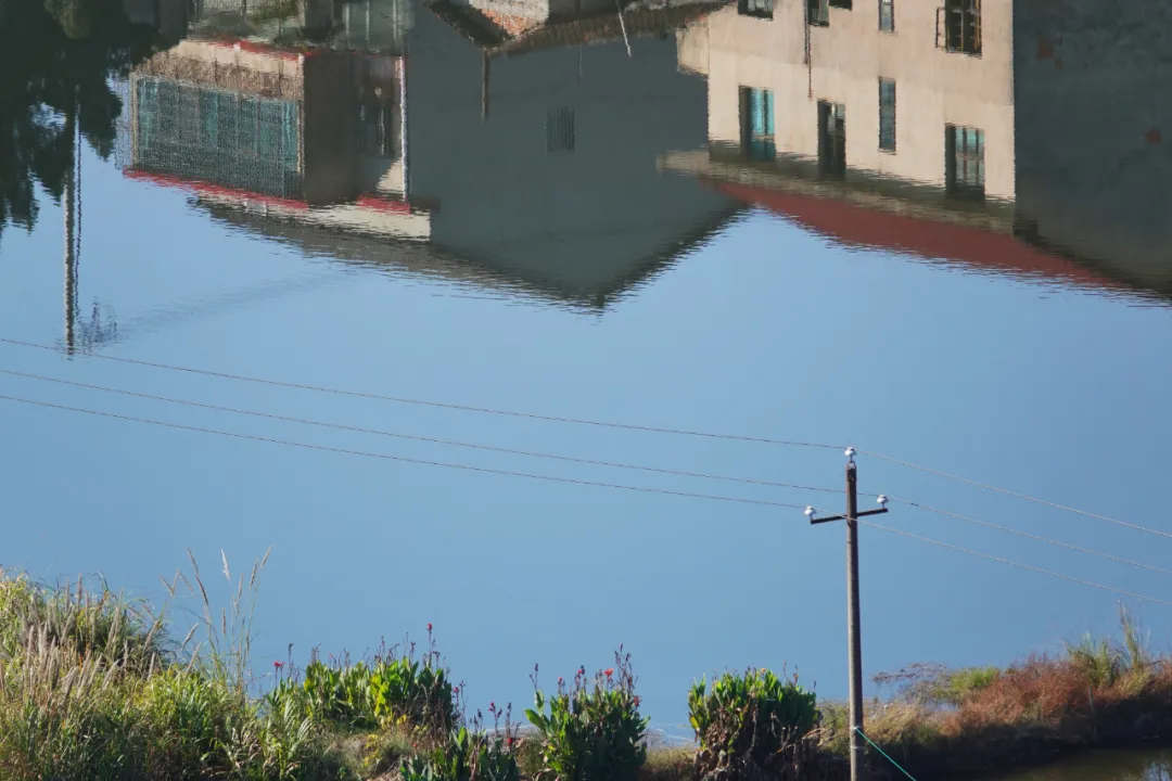 50.png